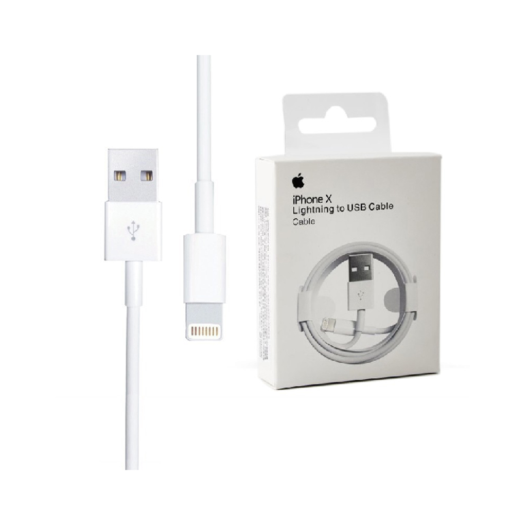 Apple Lightning Cable iPhone X Box
